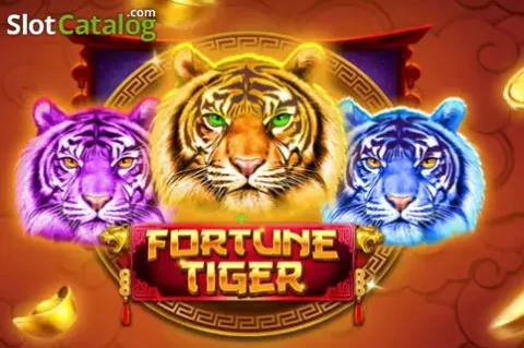 Patang Casino secure payment methods page